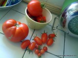2009 Tomatoes