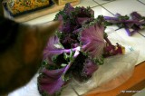 http://steamykitchen.com/6926-crispy-kale-recipe.html