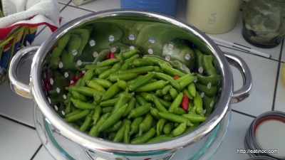200 or so Sport Peppers prepped for pickling...