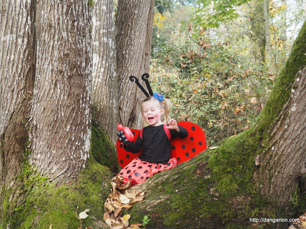 Rabid Ladybug